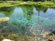 source de Bueges